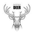 Vector illustration with dotted head deer with antlers in black isolated on white background. Animal in dotwork style. Royalty Free Stock Photo