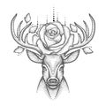 Vector illustration with dotted head deer with antlers, roses and leaves in black isolated on white background.