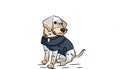 Vector illustration of a dressed up dog