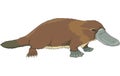 Duck Billed Platypus Illustration Royalty Free Stock Photo