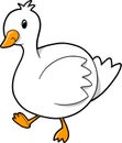 Vector Illustration of Duck goose