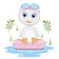 Vector illustration of a duckling floating on an inflatable circle.