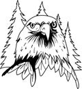 Eagle Face Illustration Royalty Free Stock Photo