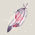 Vector illustration of eagle feathers with watercolor splash Royalty Free Stock Photo
