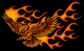 vector illustration of eagle with flames on black background