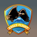 Eagle Flight Royalty Free Stock Photo