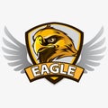 Eagle head emblem Royalty Free Stock Photo