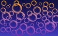 Vector illustration realistic gradient water bubbles 1 with reflection