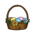 Vector illustration of Easter basket with painted eggs and flowers. Image for Easter Opening, Print and Sticker Royalty Free Stock Photo
