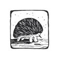 Vector illustration with echidna on a tree trunk. Hand-drawn sketch in a frame with an Australian animal