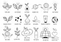 Ecology and eco product icon set