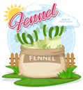 Vector illustration of eco products. Fennel in burlap sack. Full sacks with fresh vegetables