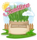 Vector illustration of eco products. Green onion in burlap sack.