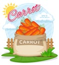 Vector illustration of eco products. Ripe Carrots in burlap sack. Full sacks