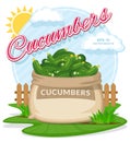 Vector illustration of eco products. Ripe Cucumbers in burlap sack.