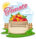 Vector illustration of eco products. Ripe Tomatoes in burlap sack.