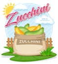 Vector illustration of eco products. Ripe Zucchini in burlap sack