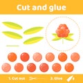 Vector illustration. Education paper game for preschool kids. Use scissors and glue to create the image. wild berry