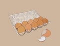 Vector illustration egg box with fresh chicken eggs. Egg plastic Royalty Free Stock Photo