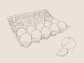 Vector illustration egg box with fresh chicken eggs. Egg plastic Royalty Free Stock Photo