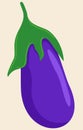 Vector illustration of eggplant. Bright vegetable. Violet and green.