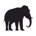 Elephant goes drawing silhouette, vector