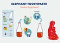 Vector illustration of Elephant`s toothpaste experiment