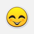 Sticker of emoticon for expressing emotion of joy, with smile and squint eyes