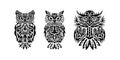 Set of owls print. Good for t-shirts, cups, phone cases and more. Vector illustration. Royalty Free Stock Photo