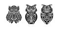 Set of owls print. Good for t-shirts, cups, phone cases and more. Vector Royalty Free Stock Photo