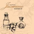 Vector illustration of essential oil of jasmine