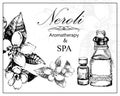 Vector illustration of essential oil of neroli