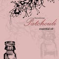 Vector illustration of essential oil of patchouli