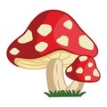 Forest Cartoon Mushrooms Amanita. Royalty Free Stock Photo