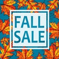 Vector illustration of Fall sale, seasonal banner design