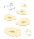 Vector illustration of falling Garlic slices isolated on white background. A cut rings of fresh ripe vegetables
