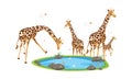 A vector illustration of a family of giraffes with duck family eps 5 - Vector Royalty Free Stock Photo