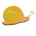 Vector Illustration of fanny cartoon orange snail on white background Royalty Free Stock Photo