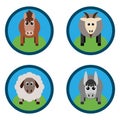 Vector illustration of farm animals. Horse, sheep, goat, a donkey Royalty Free Stock Photo