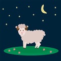 Vector illustration of Farm animals. A lamb walks in a meadow at night, it`s livestock