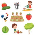 Vector Illustration Of Farm Things Royalty Free Stock Photo