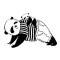 Father panda in black and white t-shirt is training