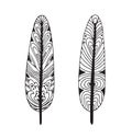 Vector illustration of feathers in black and white isolated on white