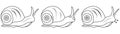 Grape snail outline. Isolated grape snail logo vector illustration