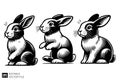Three Black and White Rabbits Vector Illustration Royalty Free Stock Photo