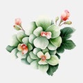 Chinese Watercolor Style Green And White Flower Vector Illustration Royalty Free Stock Photo
