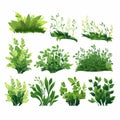 Vibrant Cottagepunk: A Collection Of Lush Green Plants And Grasses