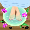 Vector Illustration Female feet at spa pedicure procedure. Legs, flowers and stones