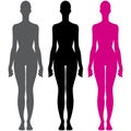 Female body anatomy silhouette vector illustration Royalty Free Stock Photo