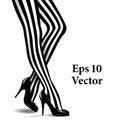 Vector Illustration of Female Legs in Striped Stockings